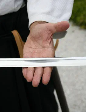 Iaido Hand und Schwert
